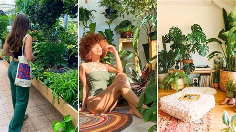 What is the Plant Mom Aesthetic .